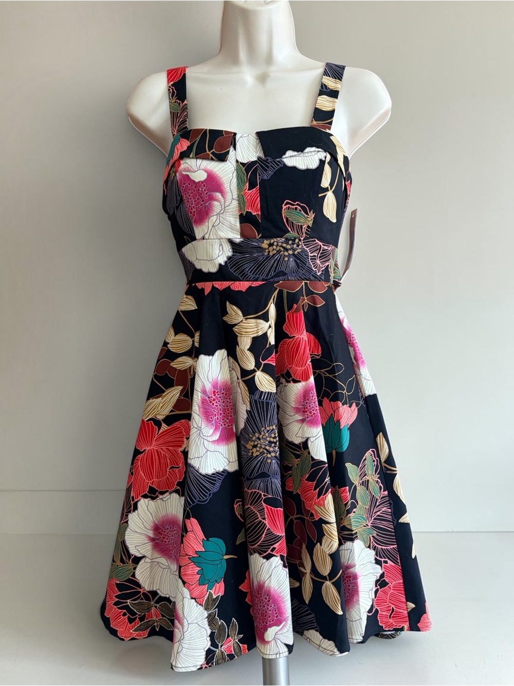 Eva Rose Francoise A-Line Floral Dress XS Black Pink Fit & Flare NWT